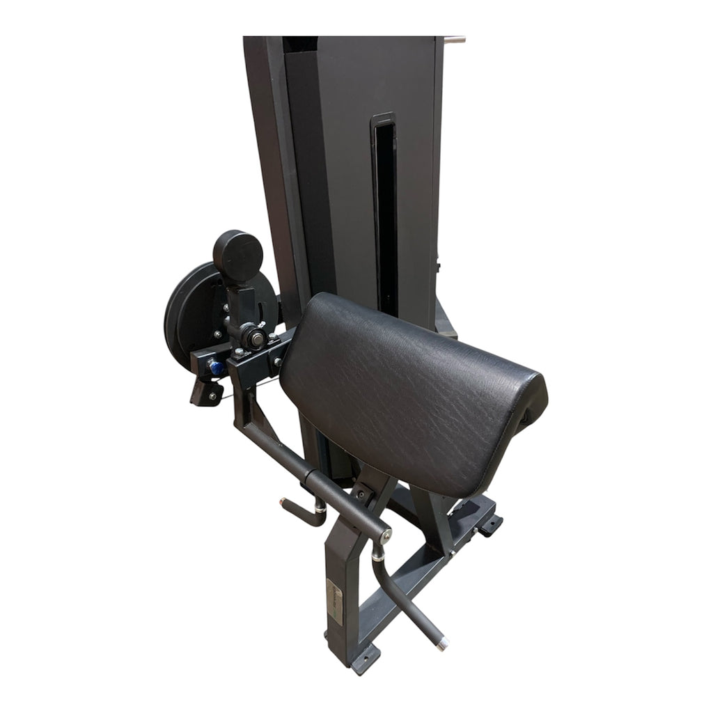 Bicep curl /Tricep extension combo machine