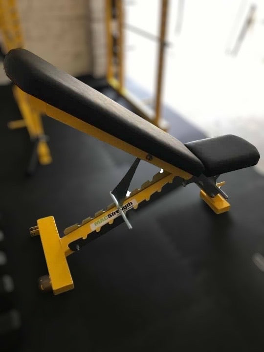 Commercial adjustable bench (custom colours)