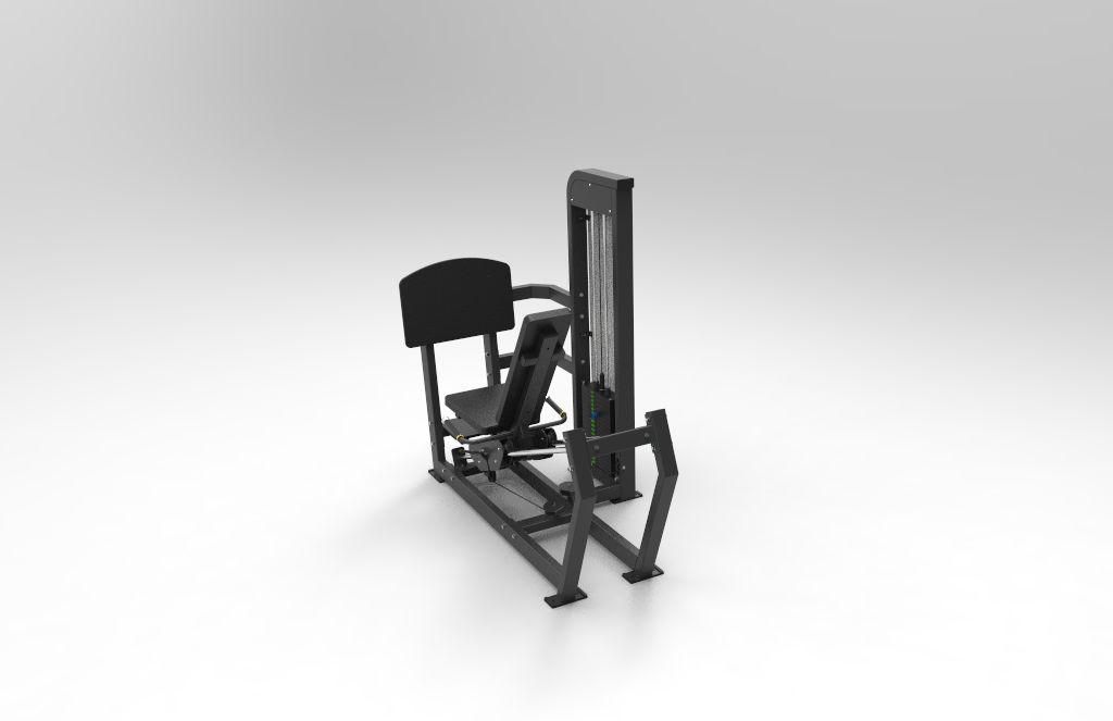 Seated Leg press/ Calf press