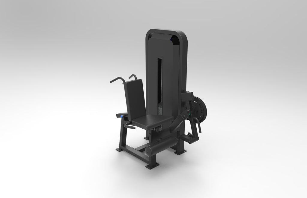 Leg curl/leg extension combo