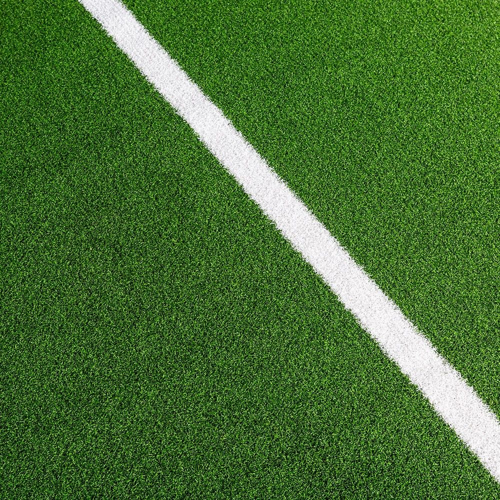 Gym Grass/Turf Gym Sled track white lines (Green)