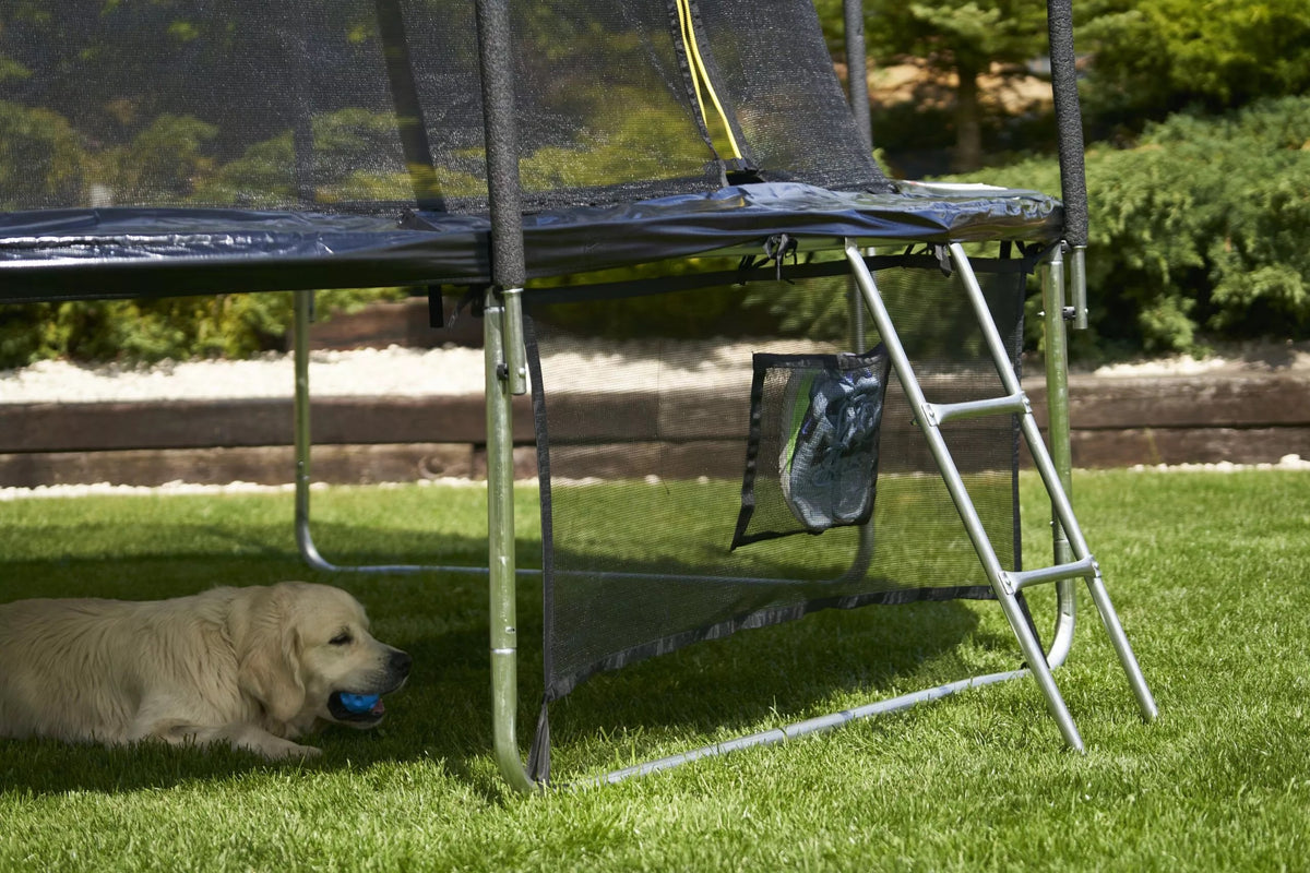 Trampoline (16ft Diameter) Free shipping