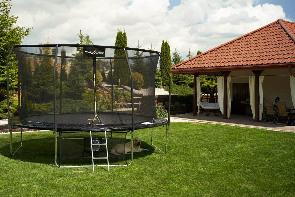 Trampoline (10ft Diameter) Free shipping
