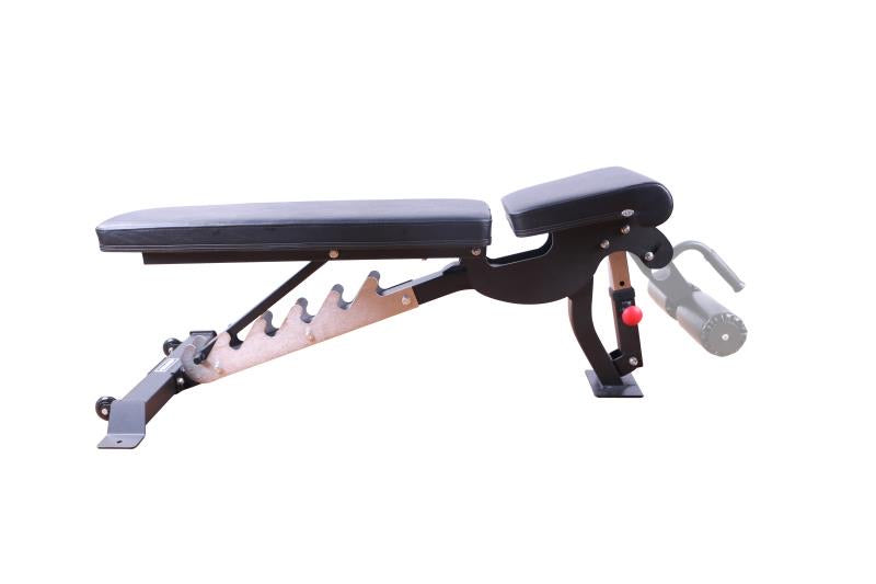 Elite commercial adjustable bench