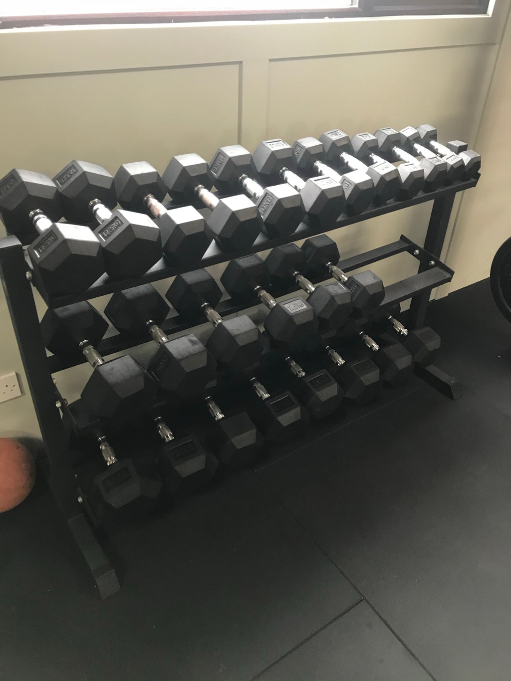 Ultimate wall rig package + 2.5-30kg db set