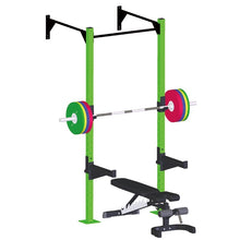 Wall Mounted Rig (Wall mounted squat rack)